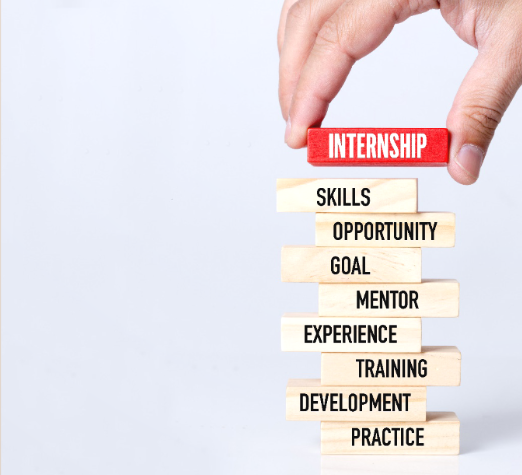 תמונה&nbsp;התמחויות במקצועות שונים: סקירה השוואתית