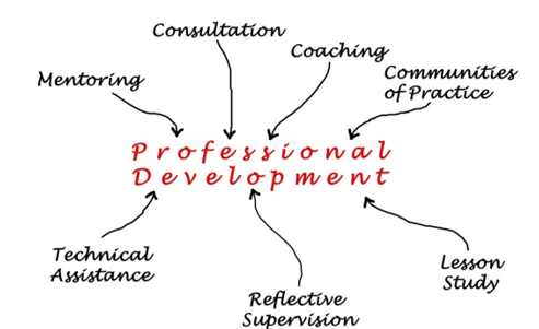 תמונה&nbsp;אפקטיביות של פיתוח מקצועי